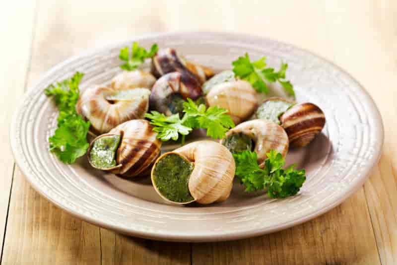 吃过正宗的法国蜗牛料理吗？