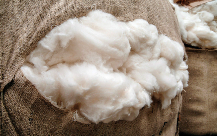喀什米尔羊毛和一般羊毛有什麼差别？为何价格如此昂贵