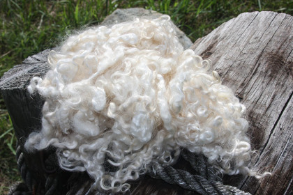 到底什麼是「馬海毛」？與羊絨又有什麼區別