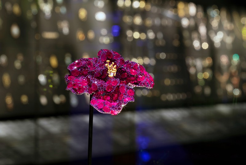 台灣珠寶藝術家Cindy Chao紅寶石牡丹胸針被英國V&A博物館納館典藏